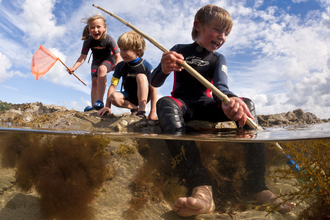 Children dipping in rockpools at low tide, The Wildlife Trusts