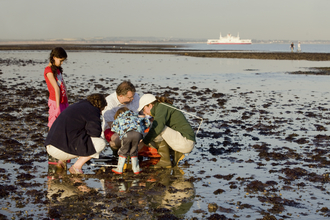 Shoresearch volunteers