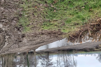 View of the clearance of the River Lugg, Herefordshire