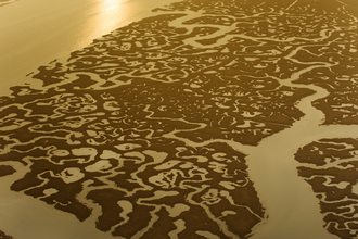 An aerial view of coastal saltmarsh at Essex Wildlife Trust's Abbotts Hall. It shows a complex network of winding tidal channels. The marshland is brown and tan, with lighter-colored water flowing through the channels.