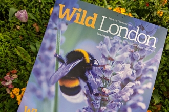 London Wildlife Trust magazine