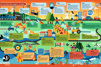 The UK's nature and climate journey