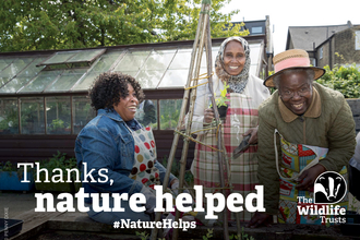 Three women gardening, text over the top says "thanks, nature helped"