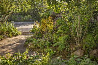 A sweeping boardwalk path, past borders of ferns, bushes and trees