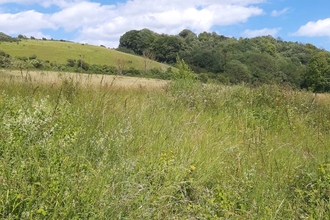 Lydden Temple BNG Habitat Bank