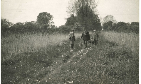 Woodwalton Fen 1935