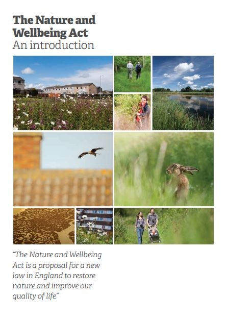 Nature and wellbeing act summary cover