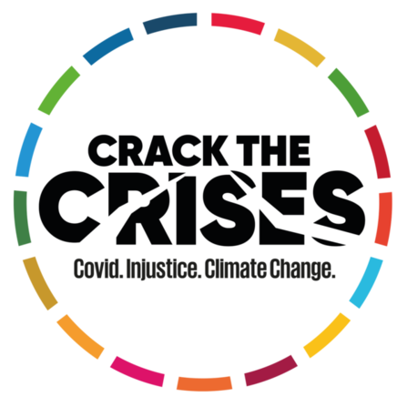Crack the crises logo