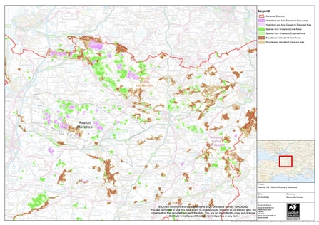 Ecological Networks Map: Mendip Hills and Avalon Marshes 
