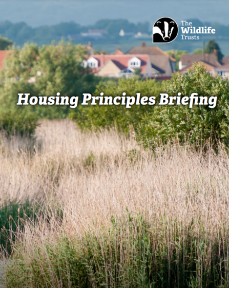 housing principles agreement