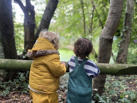 Two toddlers exploring a woodland