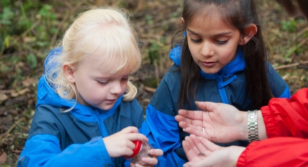 children insect