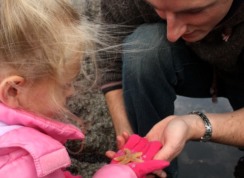 Child rockpooling