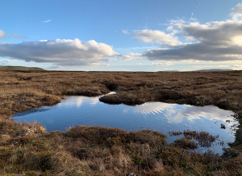Fleet moss restoration by the Yorkshire Peat Partnership