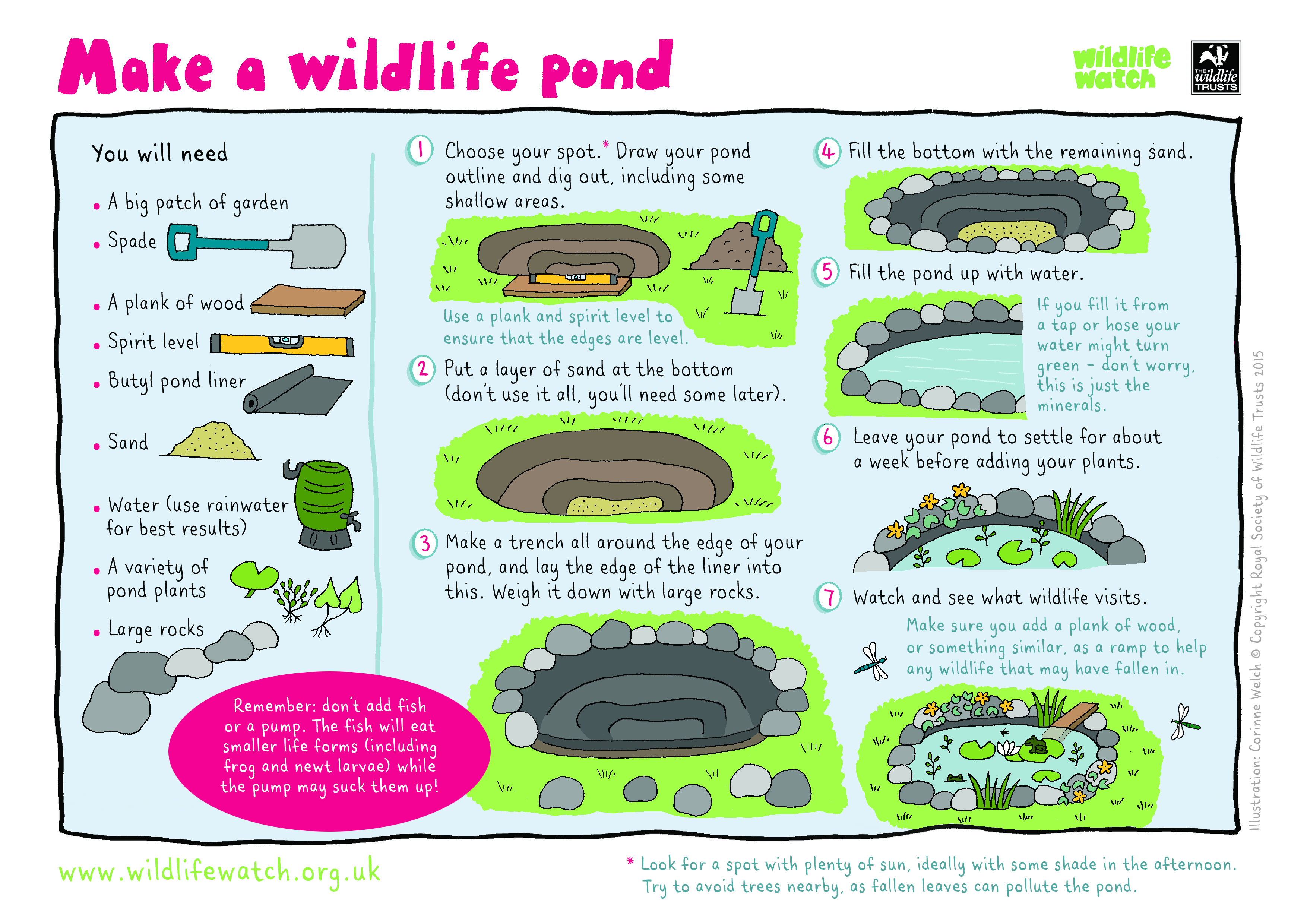 Wild Activities For Families And Schools 