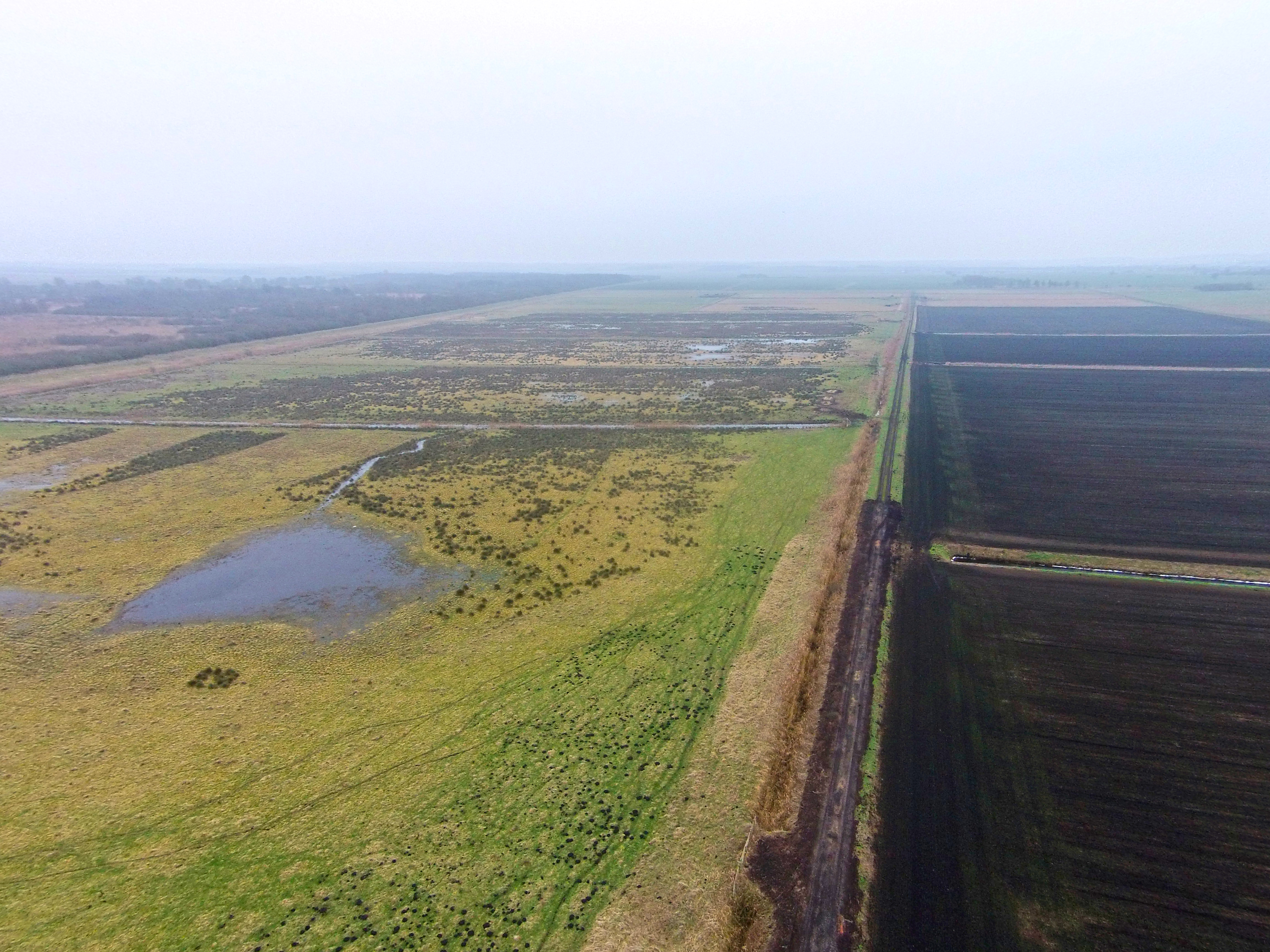 Great Fen Cambridgeshire Wildlife Trus