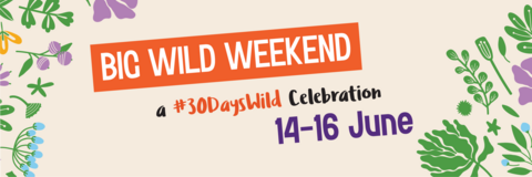 Big Wild Weekend 14-16