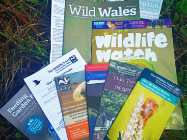 Join The Wildlife Trust of South & West Wales | The Wildlife Trusts