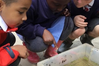 St Annes Forest Schools