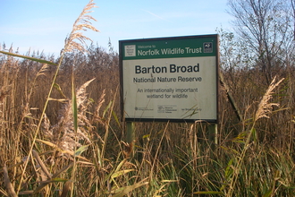 Barton Broad