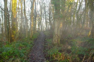 Lawthorn Wood