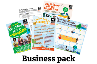 30DW21 Business Pack mock-up