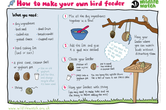 How to make a bird feeder activity sheet