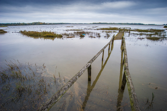 Flooding at Fingringhoe Wick in Essex