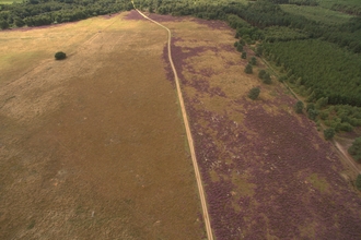 Kirkby Moor