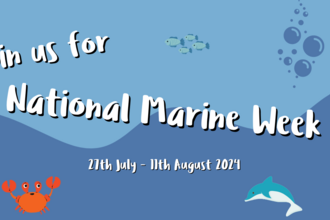 National Marine Week 2024
