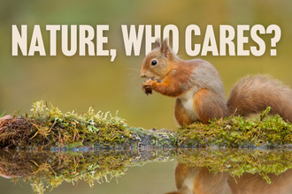 nature who cares - smaller header