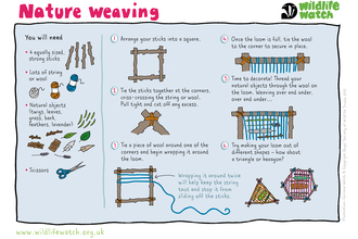 Make a nature weave