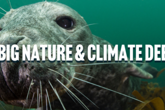 big nature debate seal background