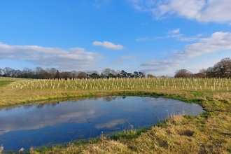 Biodiversity Net Gain - Cheshire East Council