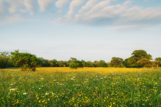 Eades Meadow; a Worcestershire Wildlife Trust reserve