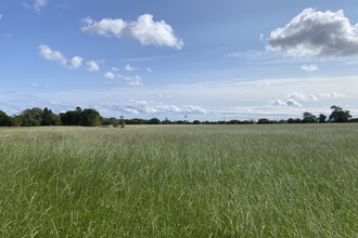 Earsdon West BNG site