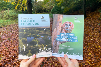 Two hands holding up membership materials in an autumn wood