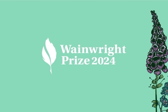 Graphical banner with words 'Wainwright Prize 2024' on a plae green background and a foxglove illustration to the right