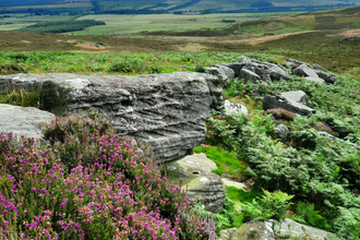 Moorland landscape with cloudy blue skies, purple flowering heather in the foreground and fern-covered rocks, fields in the background