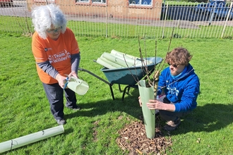 Two volunteers place a tree guard around a newly planted tree. 