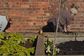 Two people place trees in plant pots behind a raised bed