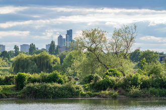 A skyline view showing Skyscrapers overlooking a nature reserve, including a variety of vegetation and still water