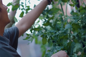 Person gardening