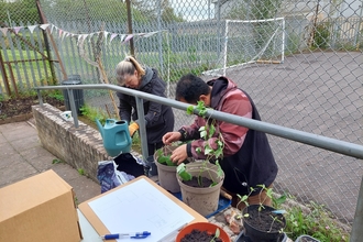 Volunteers plant seedlings with an outdoor playing area behind them. 