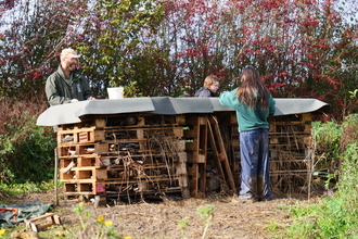 Group building a bug mansion from pallet boards.