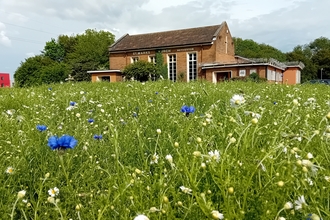 Wildflower meadow in bloom outside of a church