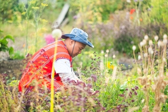 A man gardens in a wildlife friendly garden. 