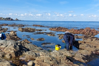 Surveying on Alderney 