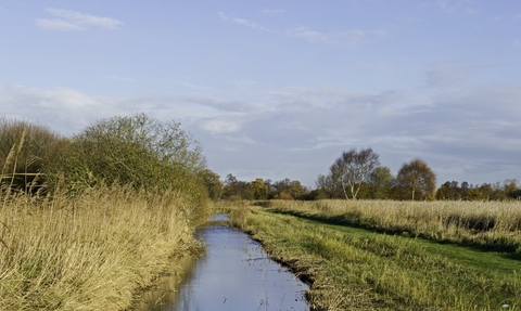 Great Fen  Wildlife Trust for Beds, Cambs & Northants