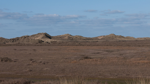 Birds of Prey on the Dunes - Dynamic Dunescapes